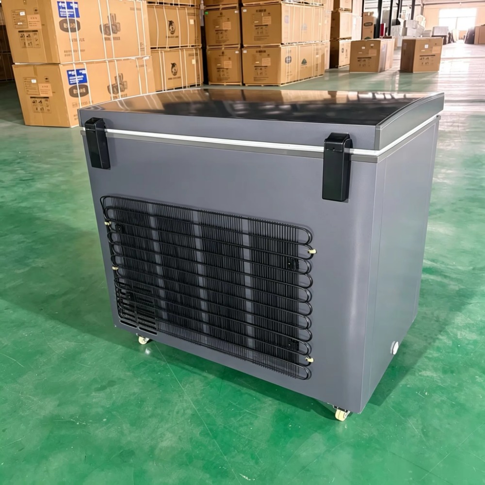 Low Price Commercial Deep Free - Commercial Chest Freezer 评论和价格