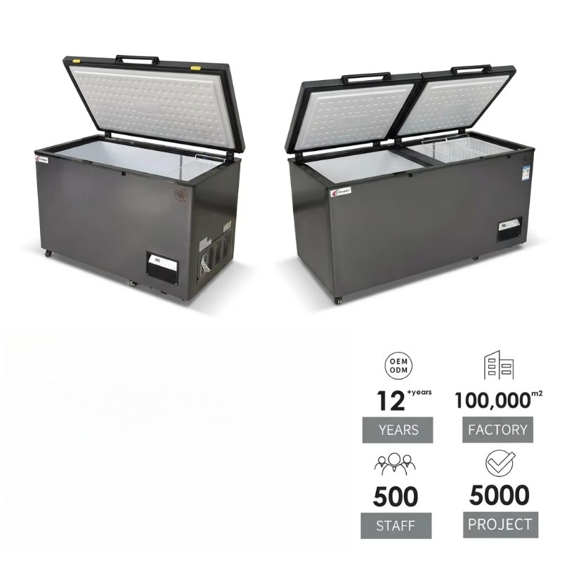 Stainless Steel Material Super - Commercial Chest Freezer 评论和价格