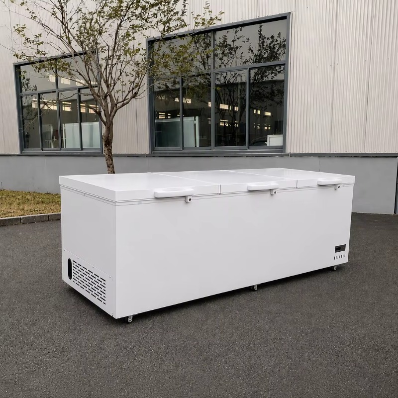 Stainless Steel Material Super - Commercial Chest Freezer 评论和价格