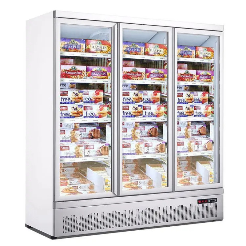 custom.Hot Sale Double-Door  F - Commercial Chest Freezer 评论和价格