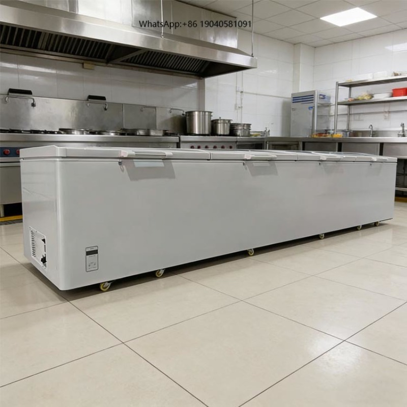 2688 Large Single-Temperature  - Commercial Chest Freezer 评论和价格