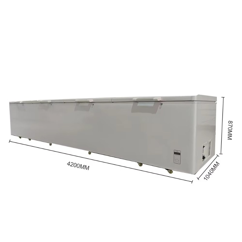 2688 Large Single-Temperature  - Commercial Chest Freezer 评论和价格