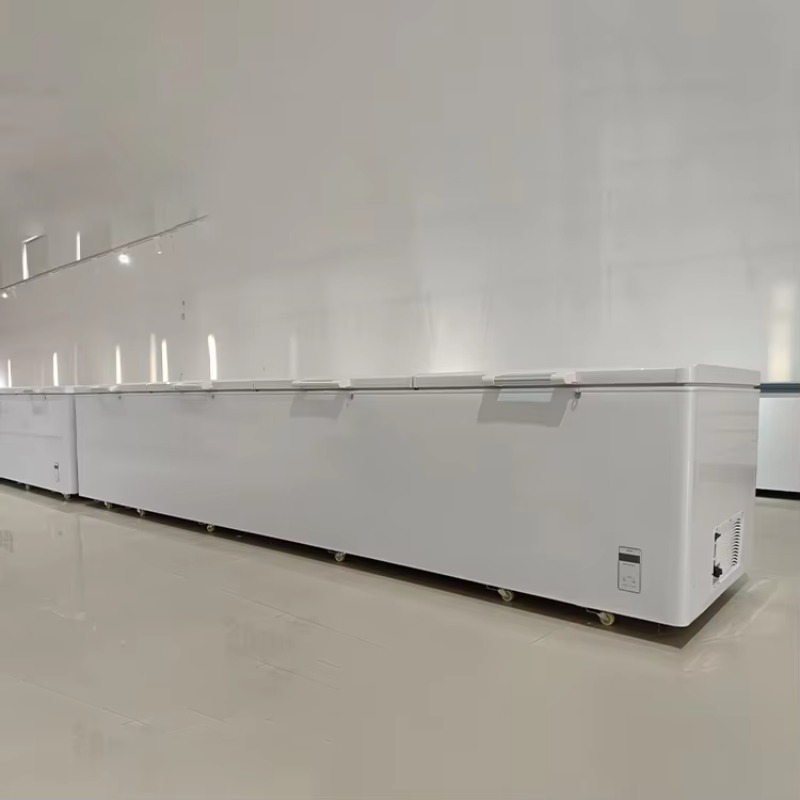 2688 Large Single-Temperature  - Commercial Chest Freezer 评论和价格