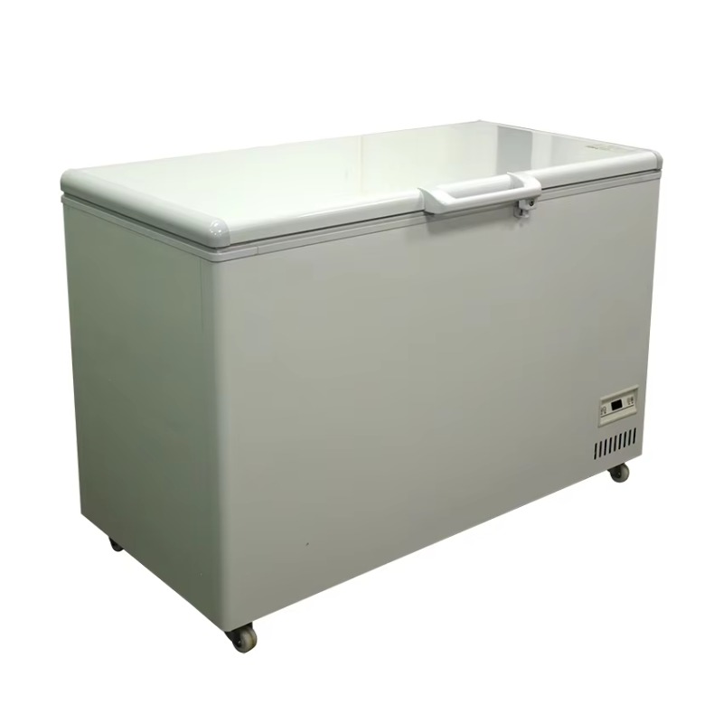 Top-open Commercial Horizontal - Commercial Chest Freezer 评论和价格